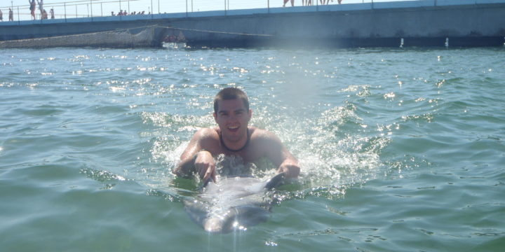 #95 Swim with Dolphins