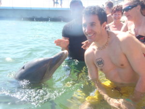 swim dolphins