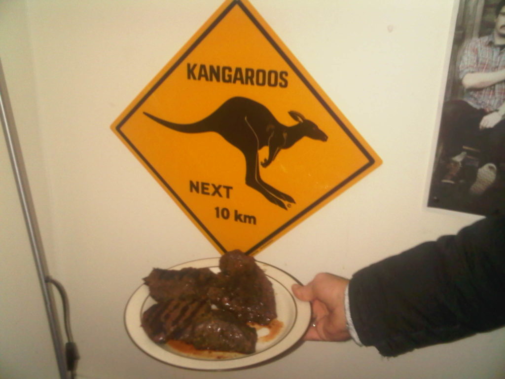 kangaroo