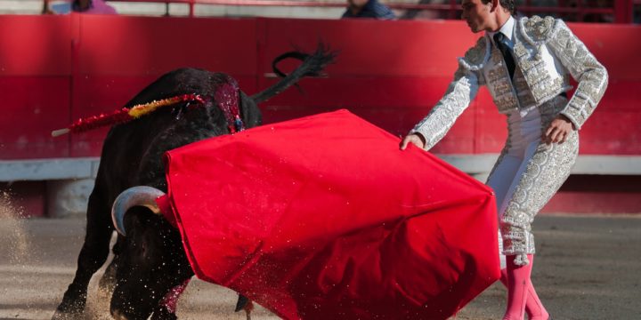 Why I Didn’t Change #27 Watch a Bullfight